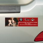 Berner Puppy- BUMPERS Bumpersticker (Op auto)