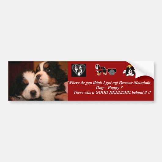 Berner Puppy- BUMPERS Bumpersticker (Voorkant)
