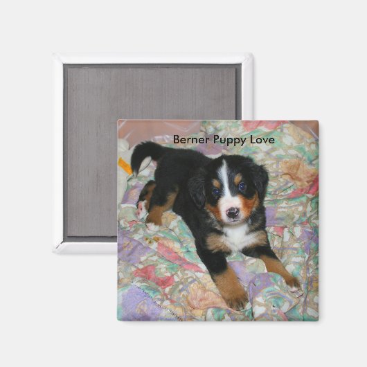 Berner Puppy Love Magnet (Voorkant / Achterkant)