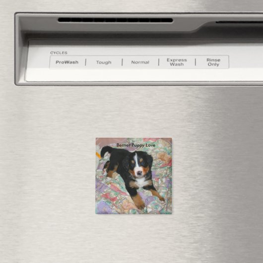 Berner Puppy Love Magnet (Insitu (Vaatwasser))