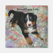 Berner Puppy Love Magnet (Voorkant)