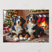 Berner Sennen Christmas Kaart (Voorkant)