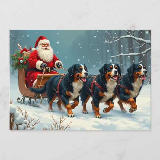 Berner Sennen Christmas Kaart (Voorkant)