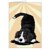 Berner Sennenhond (Voorkant)