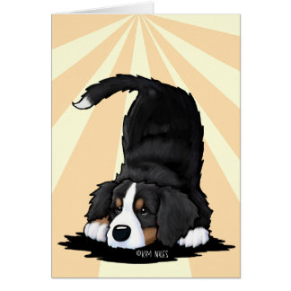 Berner Sennenhond