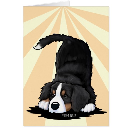 Berner Sennenhond (Voorkant)