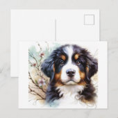 Berner Sennenhond AI Puppy Briefkaart (Voorkant / Achterkant)