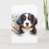 Berner Sennenhond AI Puppy Kaart (Voorkant)