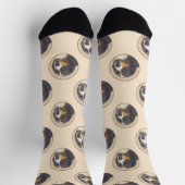 Berner Sennenhond Berner Schilderen Schattigee Pet Sokken (Top)