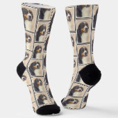 Berner Sennenhond Berner Schilderen Schattigee Pet Sokken (Gebogen)