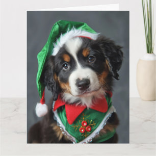 Berner Sennenhond Elf Puppy Kerst Kaart