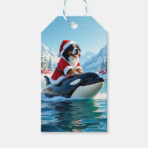 Berner Sennenhond en Orka Kerstmis