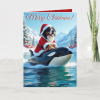 Berner Sennenhond en Orka Kerstmis