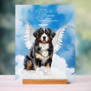 Berner Sennenhond engel met naam Pet Memorial Acryl Bord
