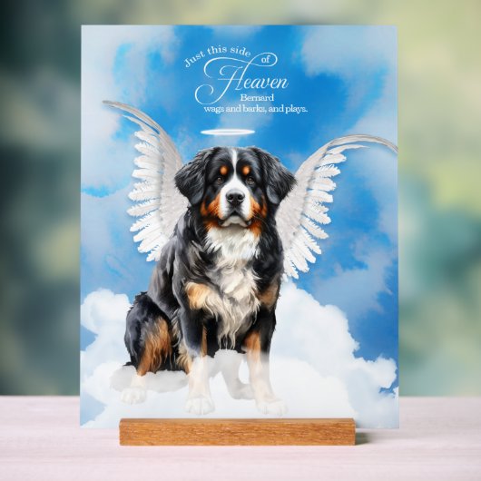 Berner Sennenhond engel met naam Pet Memorial Acryl Bord (Neutraal)
