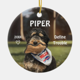 Berner Sennenhond Foto Ornament