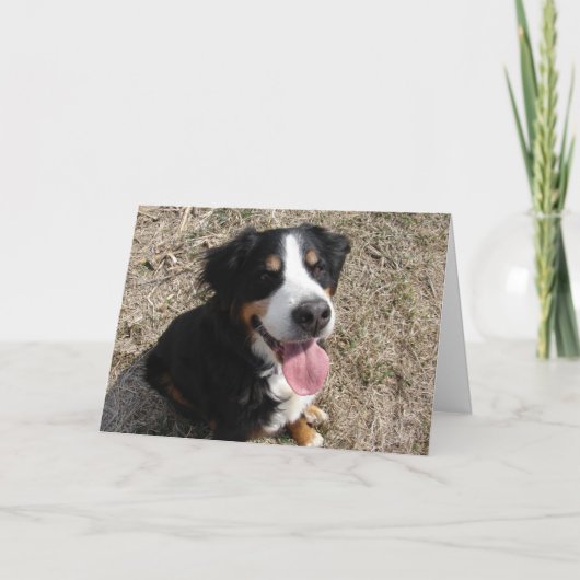 Berner Sennenhond Glimlach Kaart (Voorkant)