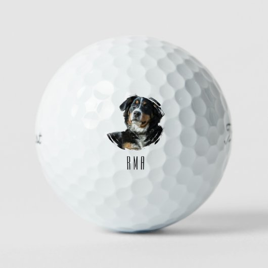 Berner Sennenhond Golfballen (Voorkant)