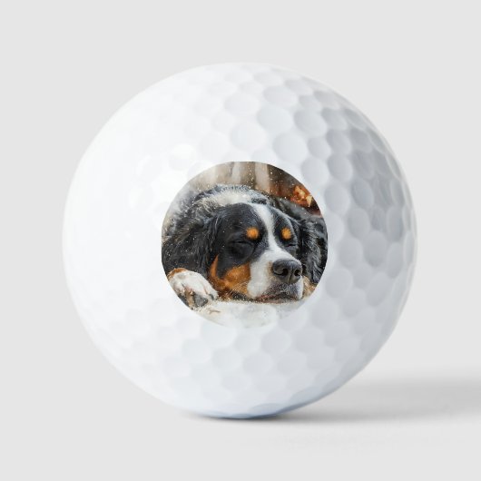 Berner Sennenhond Golfballen (Voorkant)