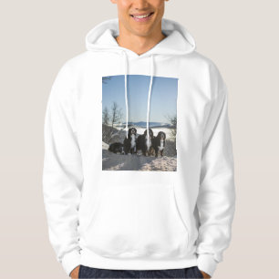 berner sennenhond groep hoodie