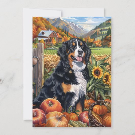 Berner Sennenhond Herfst Oogst Thanksgiving Feestdagenkaart (Voorkant)