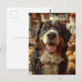 Berner Sennenhond in de Cheeseburger Winkel Briefkaart (Voorkant / Achterkant)