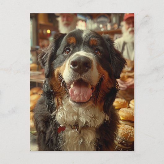 Berner Sennenhond in de Cheeseburger Winkel Briefkaart (Voorkant)