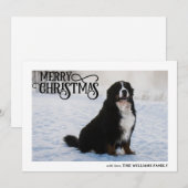 Berner Sennenhond in de sneeuw Foto Vrolijk Kerstm Feestdagenkaart (Voorkant / Achterkant)