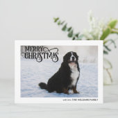 Berner Sennenhond in de sneeuw Foto Vrolijk Kerstm Feestdagenkaart (Staand voorkant)