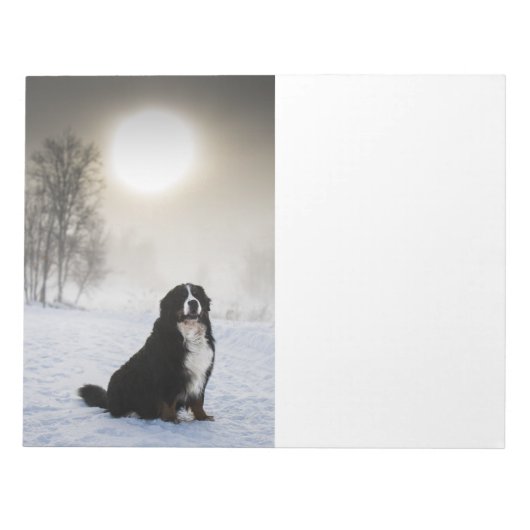 Berner Sennenhond in de sneeuw Notitieblok (Voorkant)