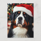 Berner Sennenhond in een Santa Hat Briefkaart (Voorkant)