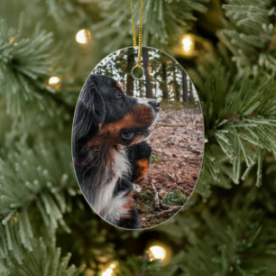 Berner Sennenhond in het bos Keramisch Ornament