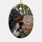 Berner Sennenhond in het bos Keramisch Ornament (Voorkant)