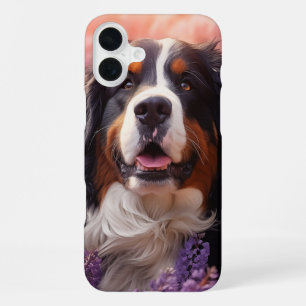 Berner Sennenhond in lavendel iPhone 16 Plus Hoesje