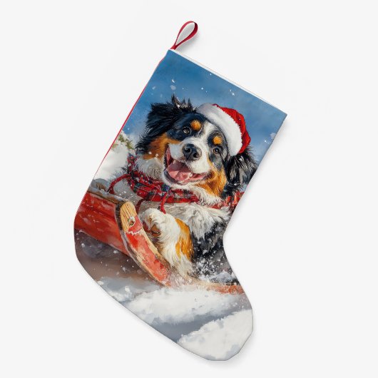 Berner Sennenhond in Sledge Kerstmis Kleine Kerstsok (Voorkant (Hangend))