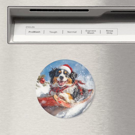 Berner Sennenhond in Sledge Kerstmis Magneet (Insitu (Vaatwasser))