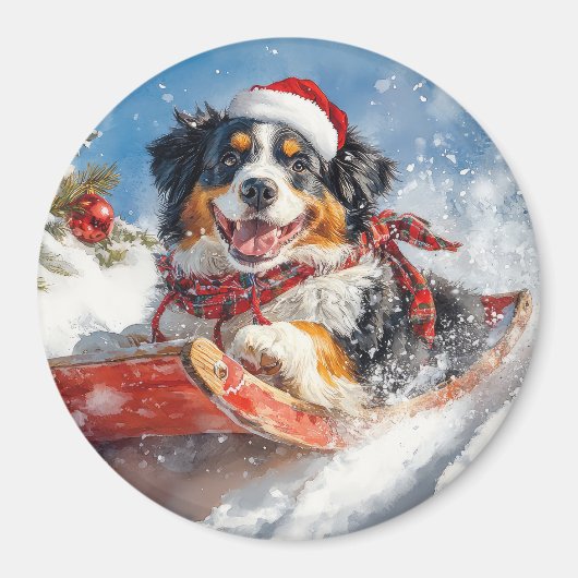 Berner Sennenhond in Sledge Kerstmis Magneet (Voorkant)