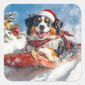 Berner Sennenhond in Sledge Kerstmis Vierkante Sticker (Voorkant)