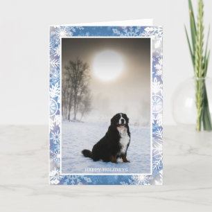 Berner Sennenhond in Sneeuwwinter Uitzicht Foto Feestdagen Kaart