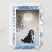 Berner Sennenhond in Sneeuwwinter Uitzicht Foto Feestdagenkaart (Voorkant)
