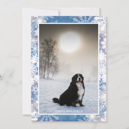 Berner Sennenhond in Sneeuwwinter Uitzicht Foto Feestdagenkaart (Voorkant)