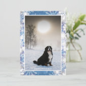 Berner Sennenhond in Sneeuwwinter Uitzicht Foto Feestdagenkaart (Staand voorkant)