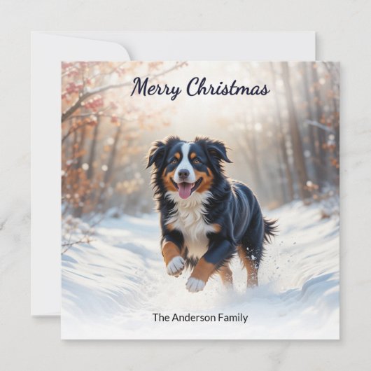 Berner Sennenhond in Waterverf met kerst Feestdagenkaart (Voorkant)