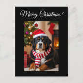 Berner Sennenhond Kerst Briefkaart (Voorkant)