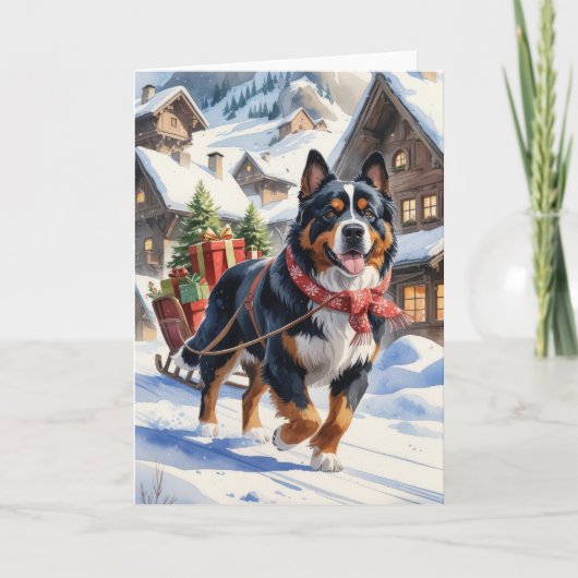 Berner Sennenhond Kerstgroet Kaart (Voorkant)