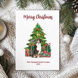 Berner Sennenhond Kerstkaart