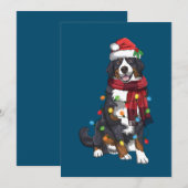 Berner Sennenhond Kerstlicht Grappige Hond Liefheb Kaart (Voorkant / Achterkant)