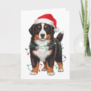 Berner Sennenhond Kerstmis Sinterklaas Hoed Lichte Kaart