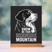 Berner Sennenhond Laat Me Jouw Acryl Bord (Neutraal)
