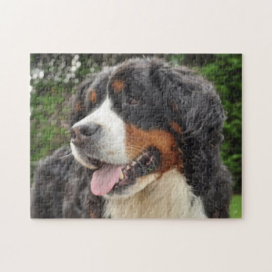 Berner Sennenhond. Legpuzzel (Horizontaal)
